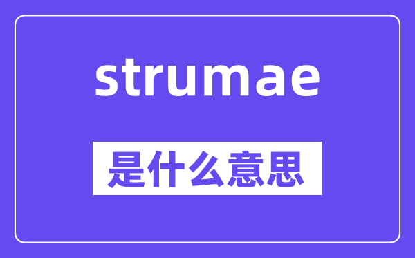 strumae是什么意思,strumae怎么读,中文翻译是什么