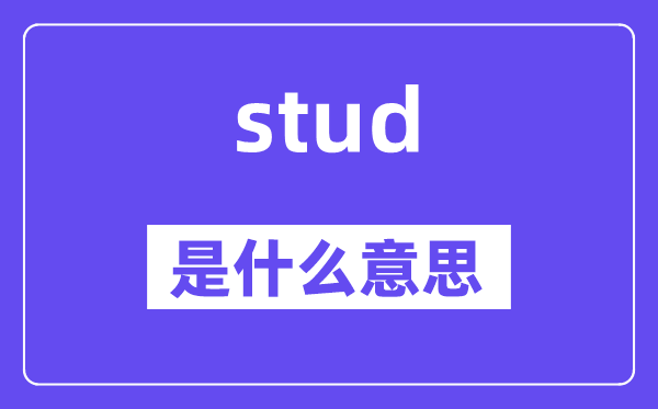 stud是什么意思,stud怎么读,中文翻译是什么