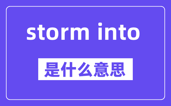 storm into是什么意思,中文翻译是什么