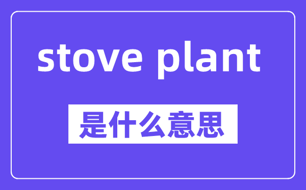 stove plant是什么意思,中文翻译是什么
