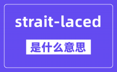 strait-laced是什么意思_中文翻译是什么?