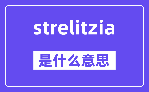 strelitzia是什么意思,中文翻译是什么