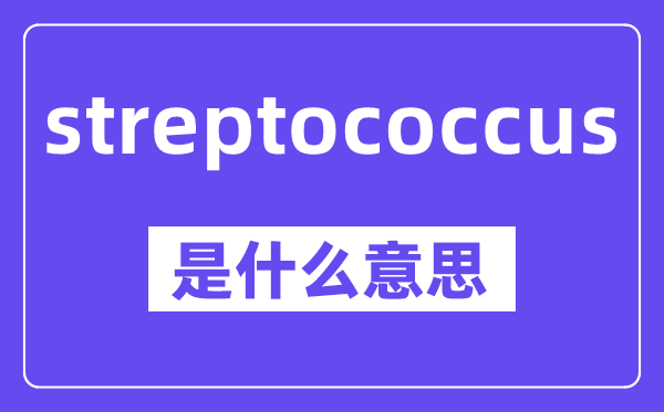 streptococcus是什么意思,中文翻译是什么