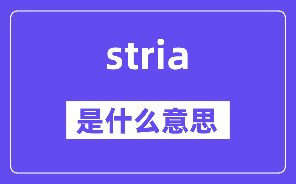 stria是什么意思,stria怎么读,中文翻译是什么