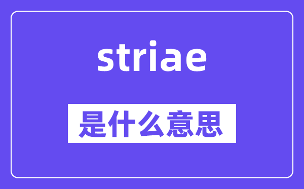 striae是什么意思,striae怎么读,中文翻译是什么
