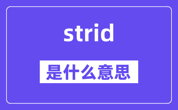 strid是什么意思,strid怎么读,中文翻译是什么