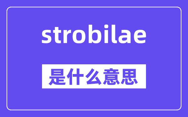 strobilae是什么意思,strobilae怎么读,中文翻译是什么