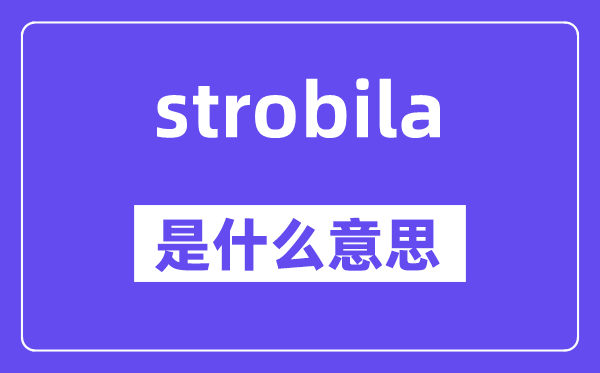 strobila是什么意思,strobila怎么读,中文翻译是什么