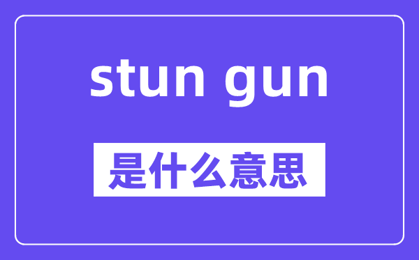 stun gun是什么意思,中文翻译是什么