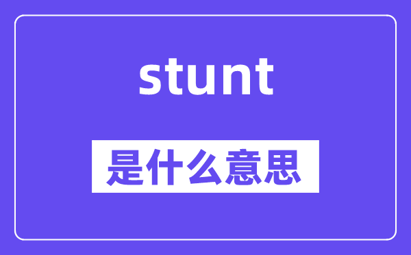stunt是什么意思,stunt怎么读,中文翻译是什么