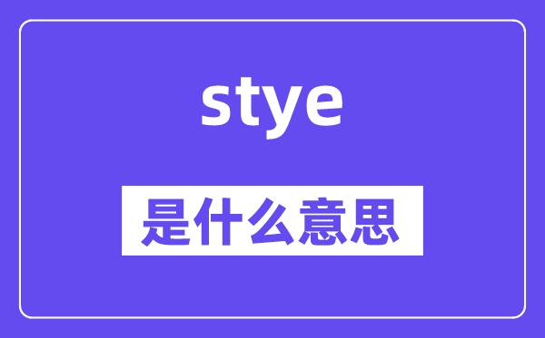 stye是什么意思,stye怎么读,中文翻译是什么