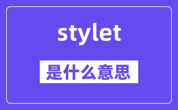 stylet是什么意思,stylet怎么读,中文翻译是什么