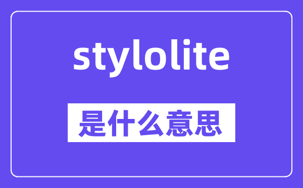 stylolite是什么意思,stylolite怎么读,中文翻译是什么