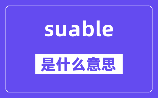 suable是什么意思,suable怎么读,中文翻译是什么