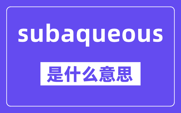 subaqueous是什么意思,中文翻译是什么