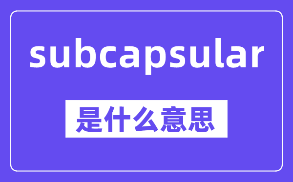 subcapsular是什么意思,中文翻译是什么