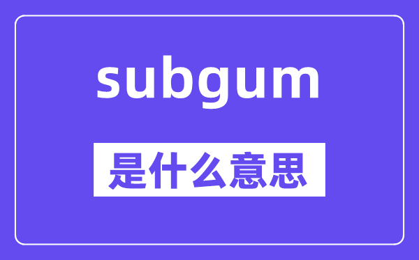 subgum是什么意思,subgum怎么读,中文翻译是什么