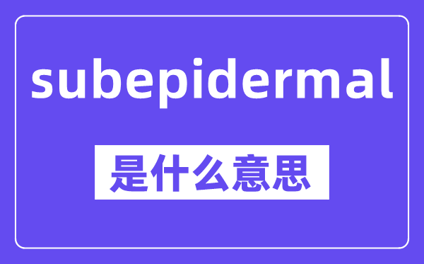 subepidermal是什么意思,中文翻译是什么