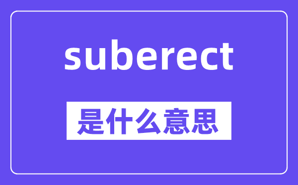 suberect是什么意思,suberect怎么读,中文翻译是什么