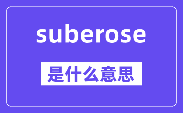 suberose是什么意思,suberose怎么读,中文翻译是什么