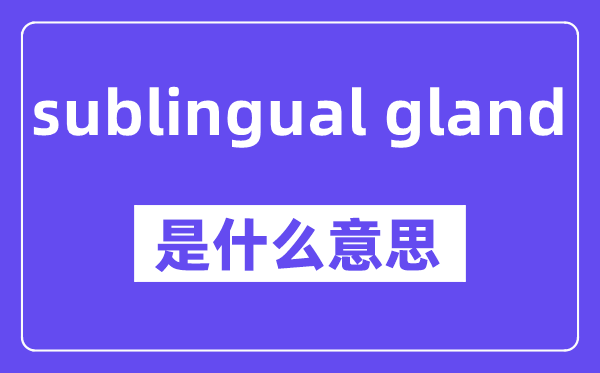 sublingual gland是什么意思,中文翻译是什么