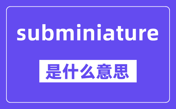 subminiature是什么意思,中文翻译是什么
