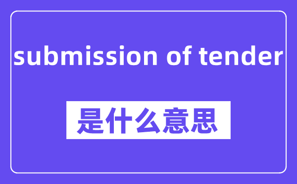 submission of tender是什么意思,中文翻译是什么