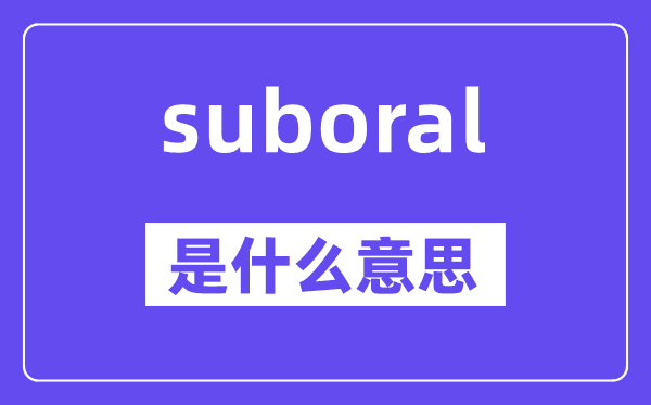 suboral是什么意思,suboral怎么读,中文翻译是什么
