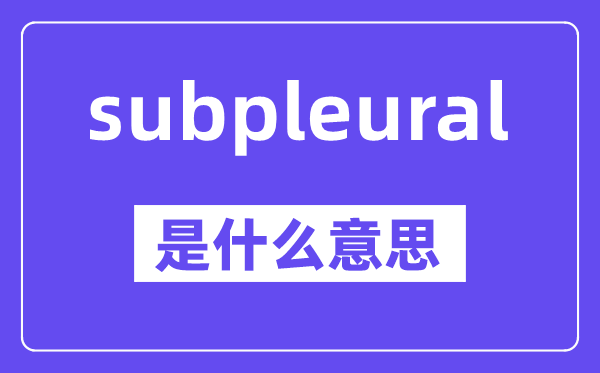 subpleural是什么意思,中文翻译是什么