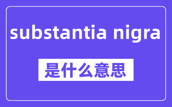 substantia nigra是什么意思,中文翻译是什么