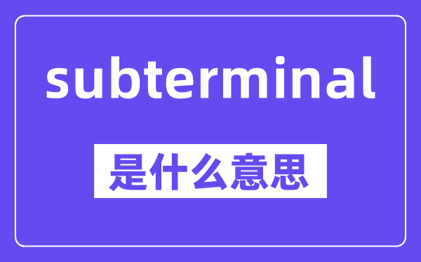 subterminal是什么意思,中文翻译是什么