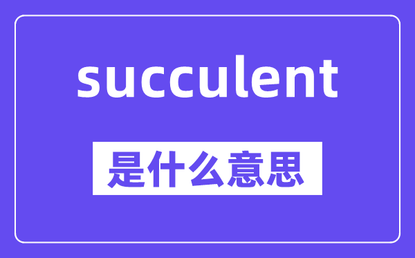 succulent是什么意思,中文翻译是什么