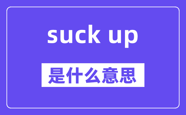 suck up是什么意思,中文翻译是什么