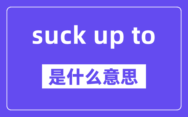 suck up to是什么意思,中文翻译是什么