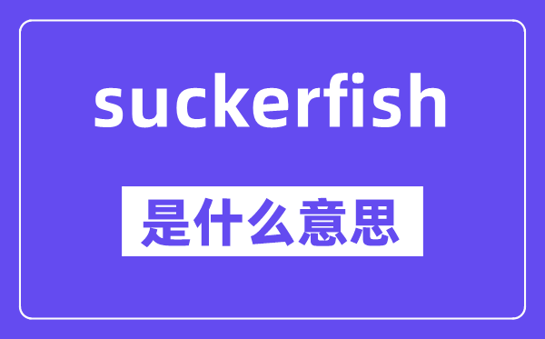 suckerfish是什么意思,中文翻译是什么