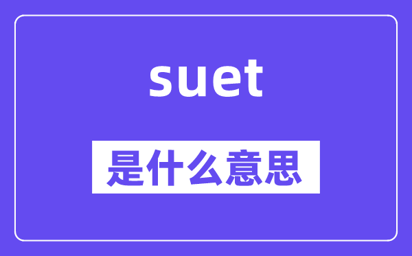 suet是什么意思,suet怎么读,中文翻译是什么