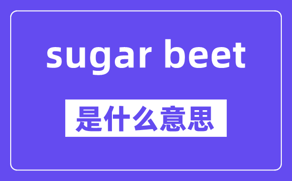 sugar beet是什么意思,中文翻译是什么