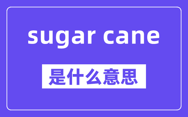 sugar cane是什么意思,中文翻译是什么