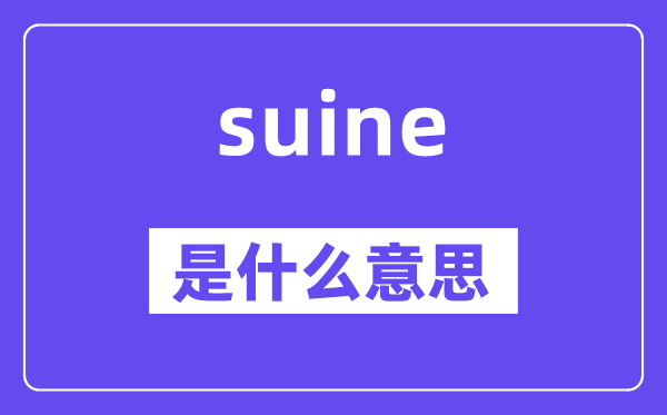 suine是什么意思,suine怎么读,中文翻译是什么