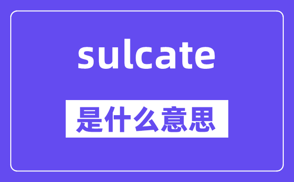 sulcate是什么意思,sulcate怎么读,中文翻译是什么