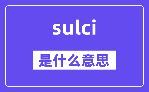 sulci是什么意思,sulci怎么读,中文翻译是什么