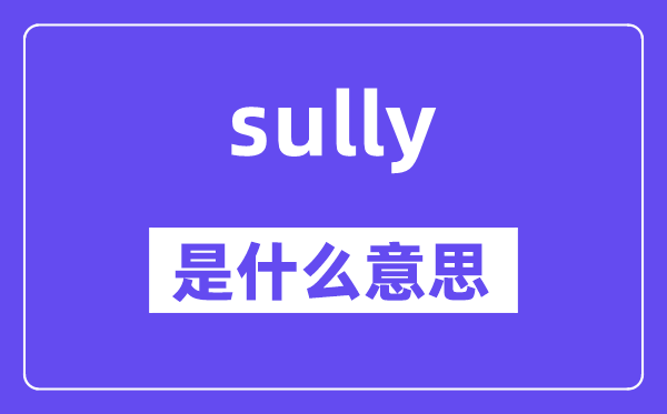 sully是什么意思,sully怎么读,中文翻译是什么