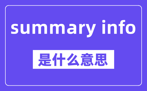 summary info是什么意思,中文翻译是什么