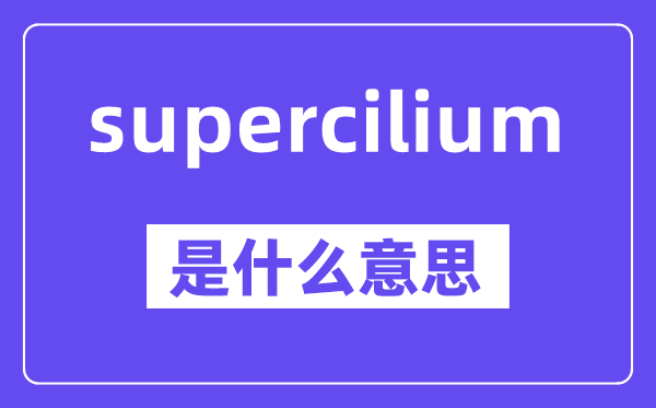 supercilium是什么意思,中文翻译是什么