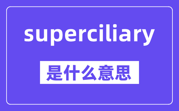 superciliary是什么意思,中文翻译是什么