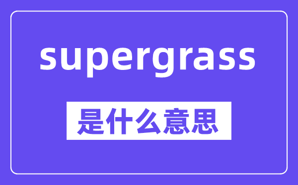 supergrass是什么意思,中文翻译是什么