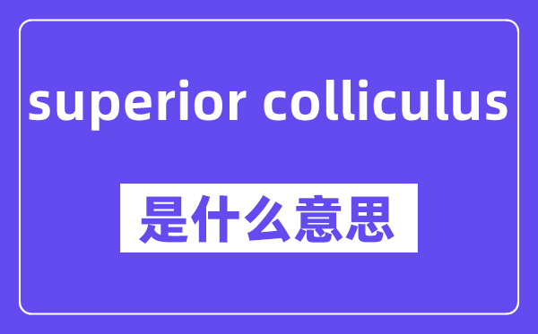 superior colliculus是什么意思,中文翻译是什么