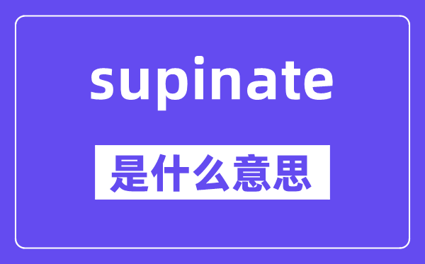 supinate是什么意思,supinate怎么读,中文翻译是什么