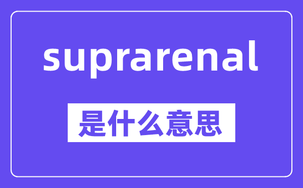 suprarenal是什么意思,中文翻译是什么