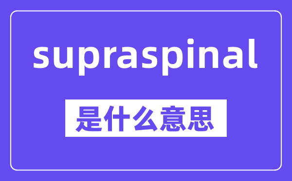 supraspinal是什么意思,中文翻译是什么